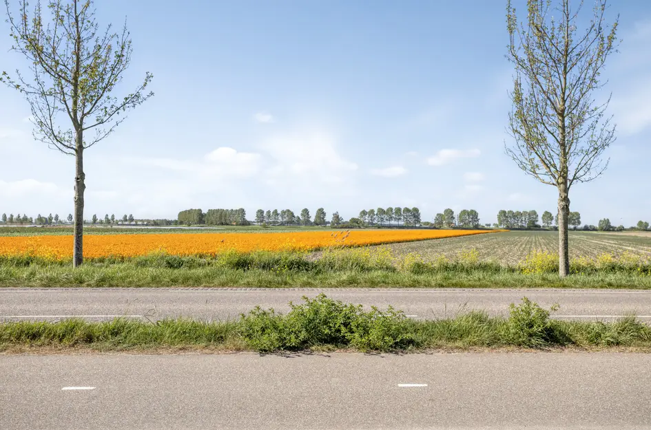 's-Gravenkreek 9
