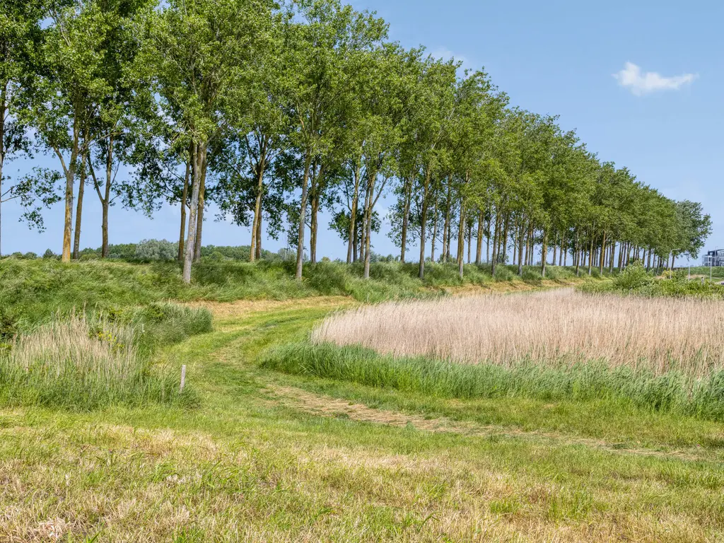 Julianastraat 37, SINT-ANNALAND