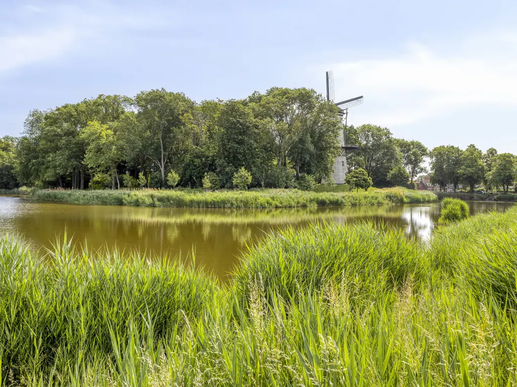 Achtererf 37, THOLEN