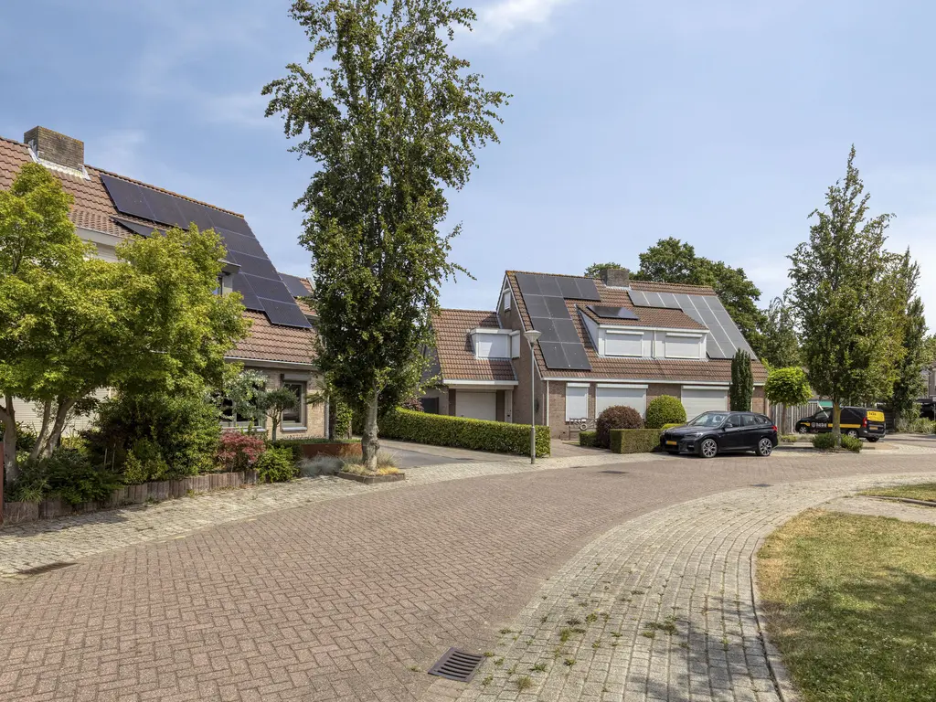 Oranjerie 11, THOLEN