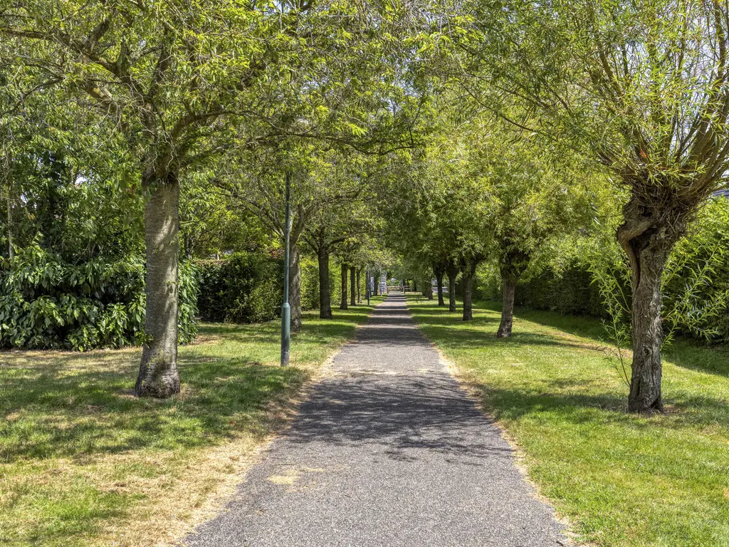 Oranjerie 11, THOLEN