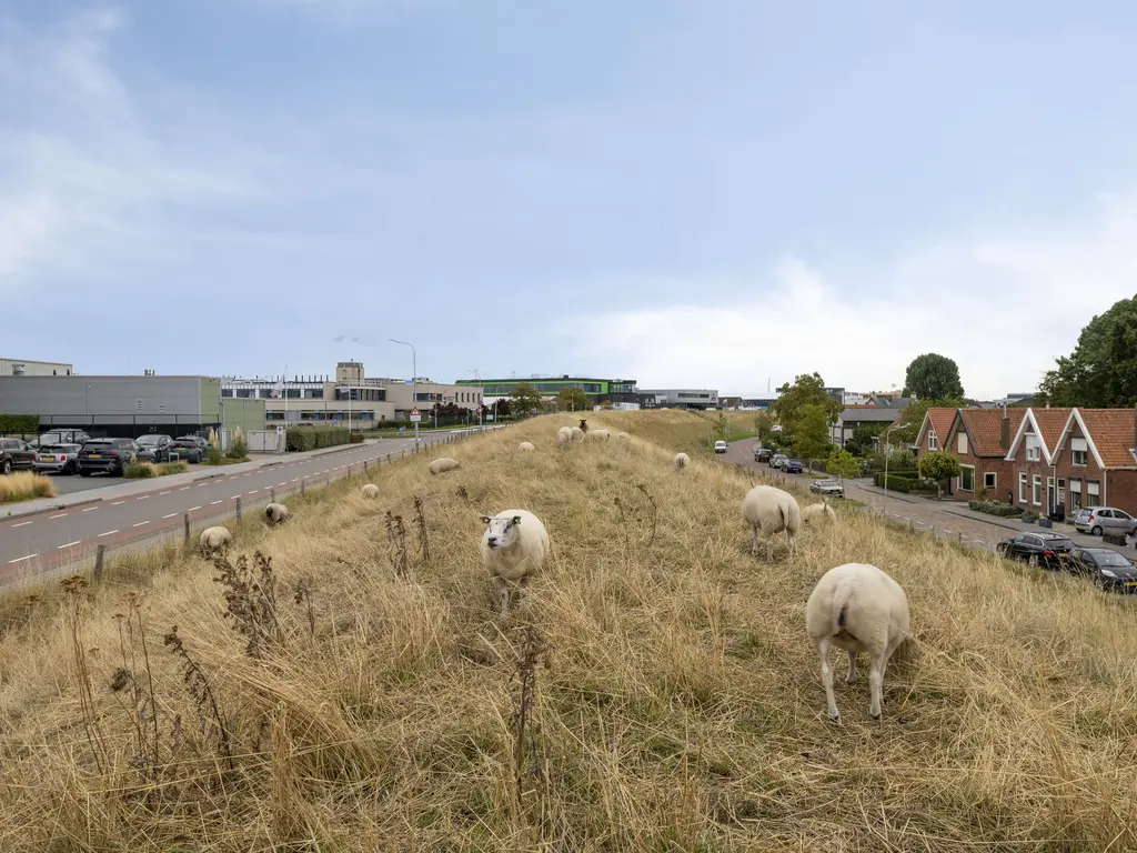 De Zaete 10, YERSEKE