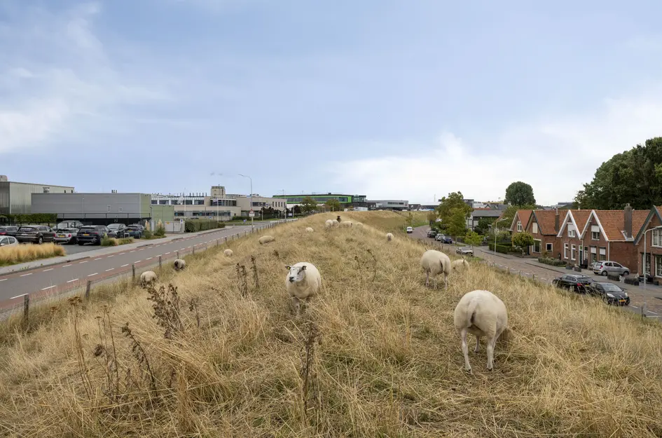 De Zaete 10