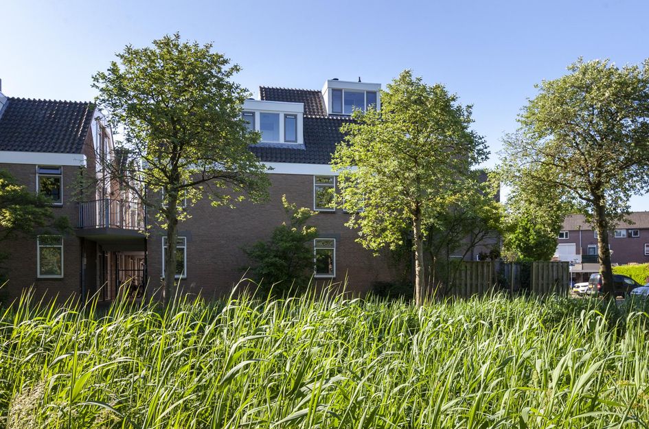IJsseloord 196