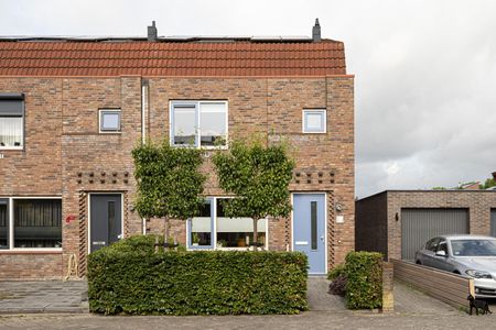 Muurkruid 1