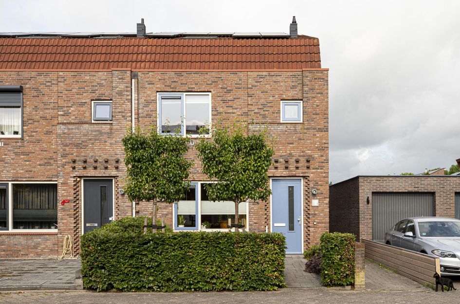 Muurkruid 1