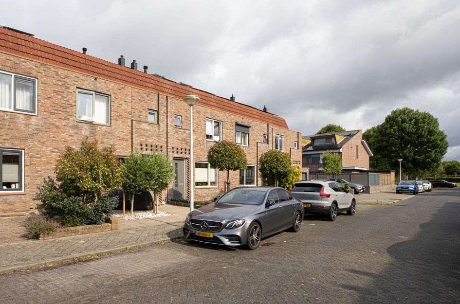 Muurkruid 1