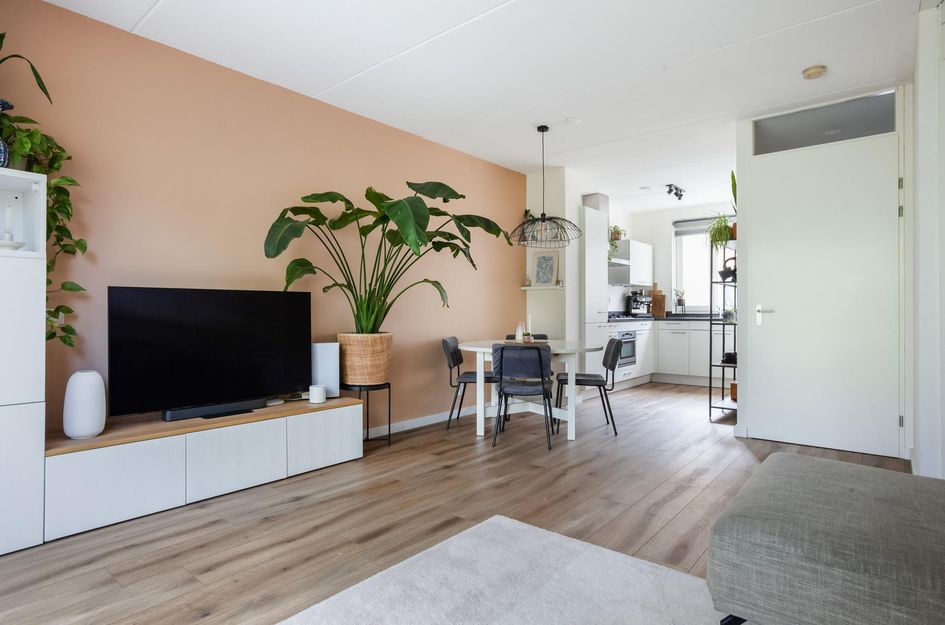Jan Steenstraat 24