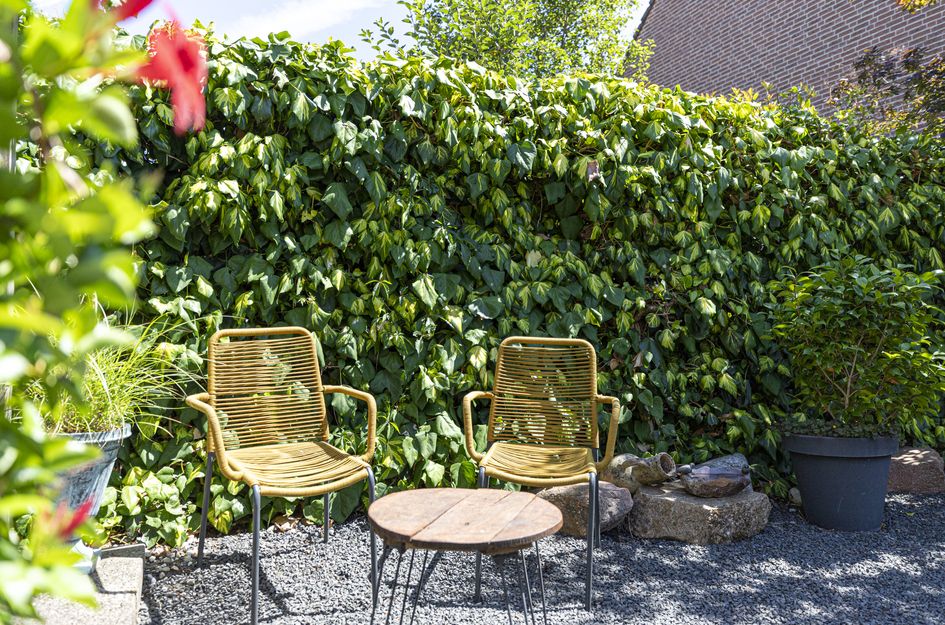 Ganzerikveld 12