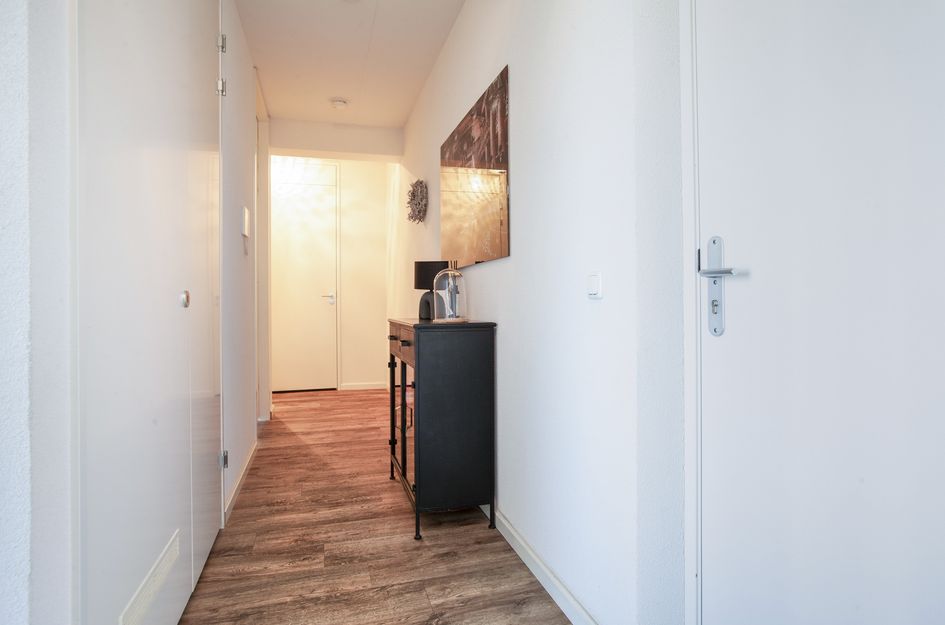 Grauwaartsingel 482