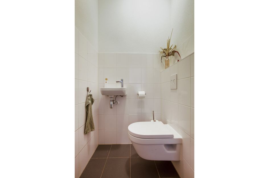 Grauwaartsingel 482