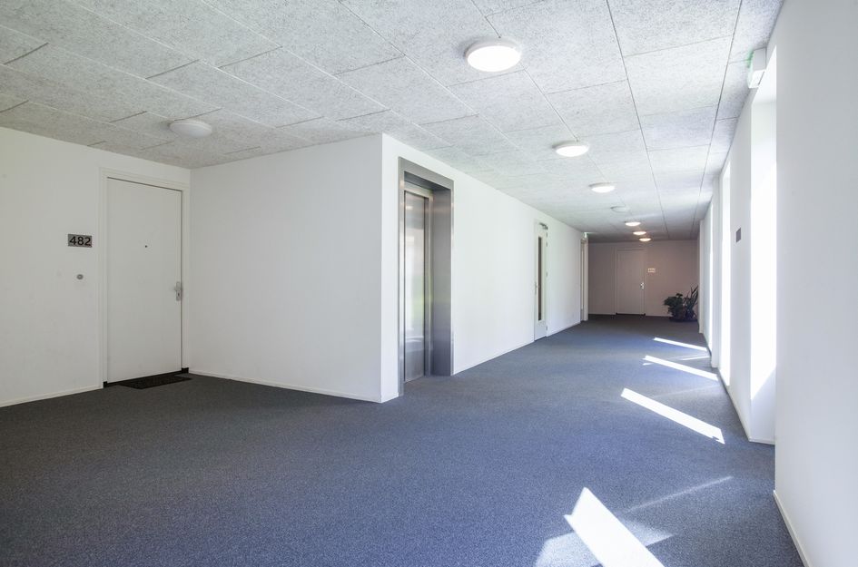 Grauwaartsingel 482