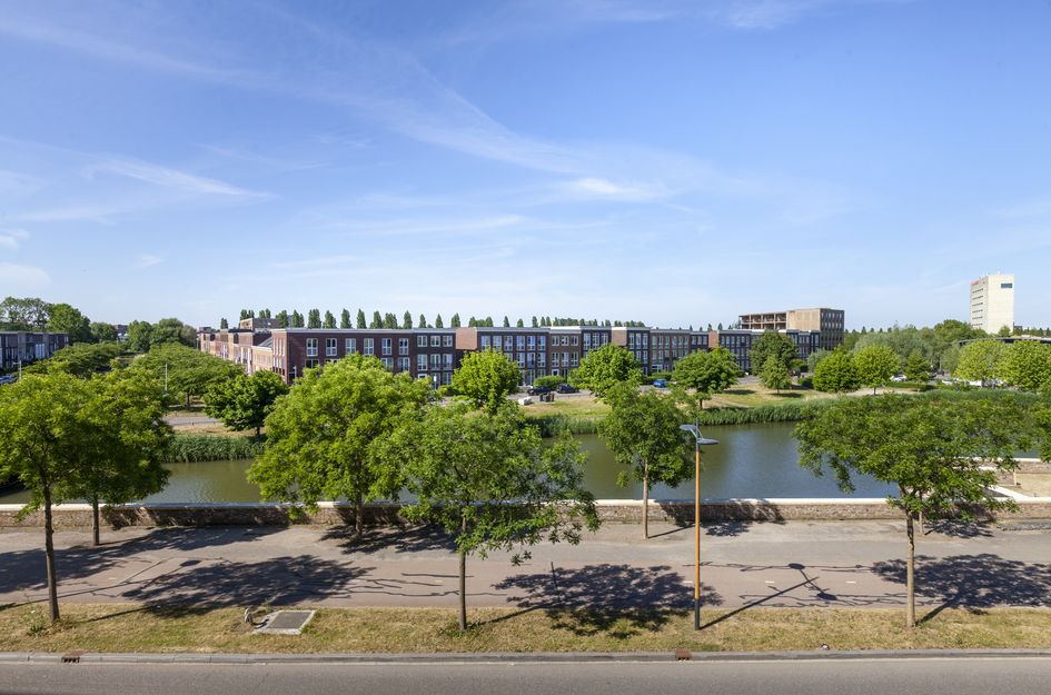 Grauwaartsingel 482