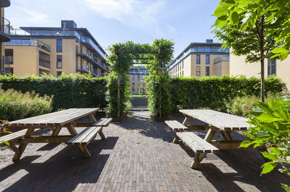 Grauwaartsingel 482