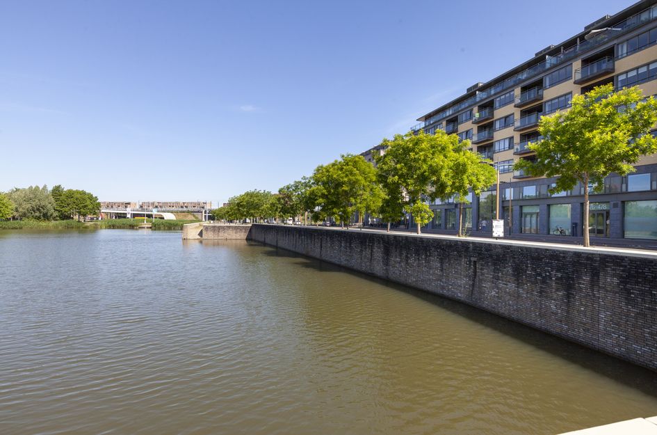 Grauwaartsingel 482