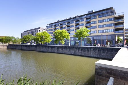 Grauwaartsingel 482