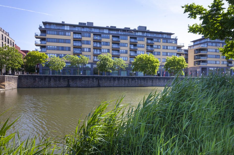 Grauwaartsingel 482