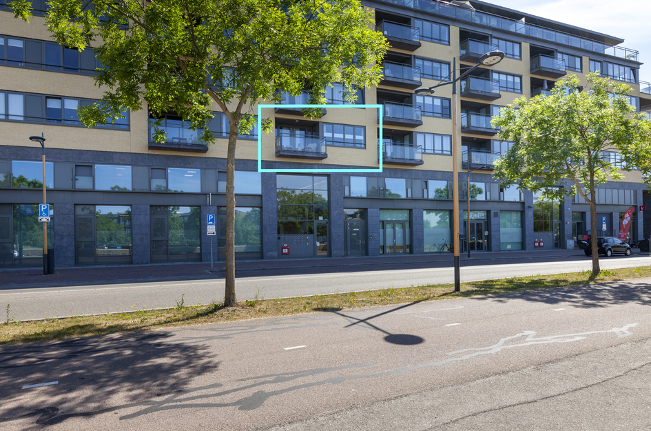Grauwaartsingel 482