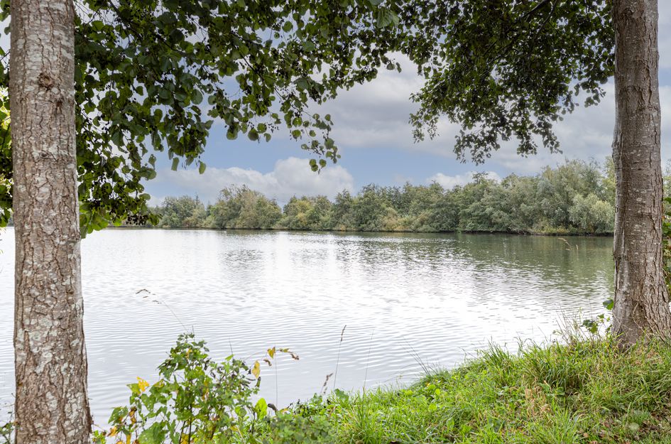 Veluwemeer 76