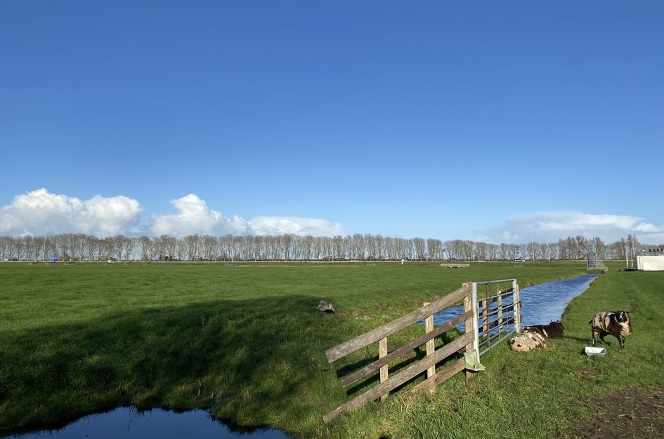 Meester van Loostraat 8