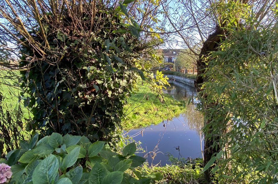 Meester van Loostraat 8