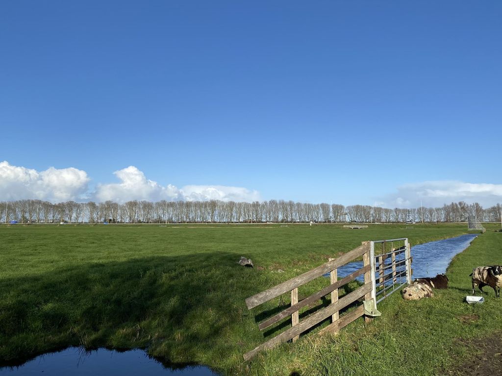 Meester van Loostraat 8, WAARDER