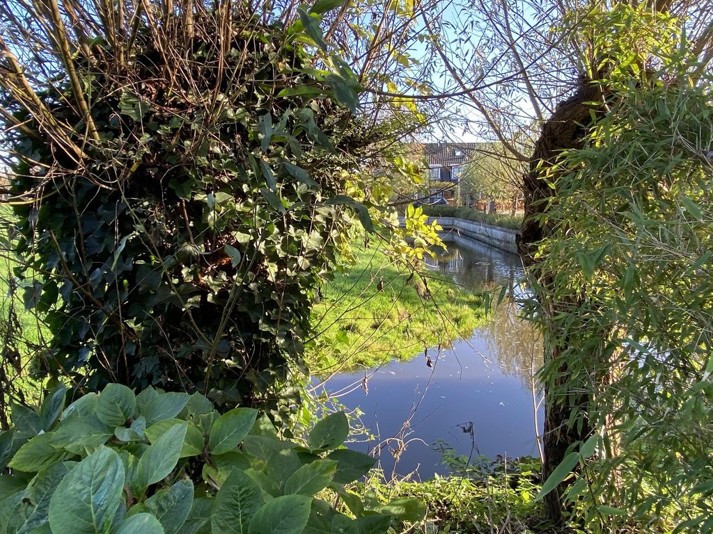 Meester van Loostraat 8, WAARDER