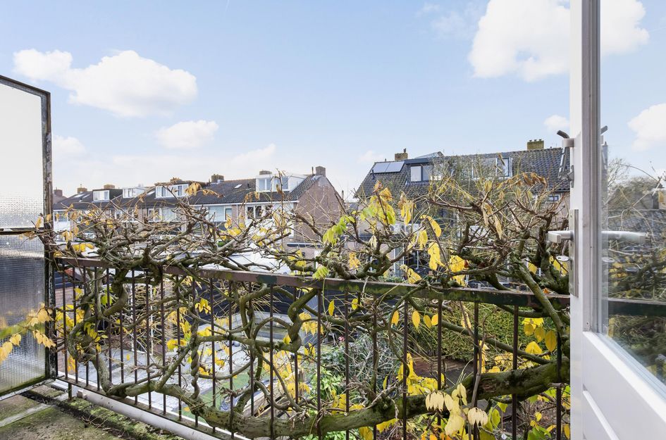 Wijnant Nuijenstraat 23