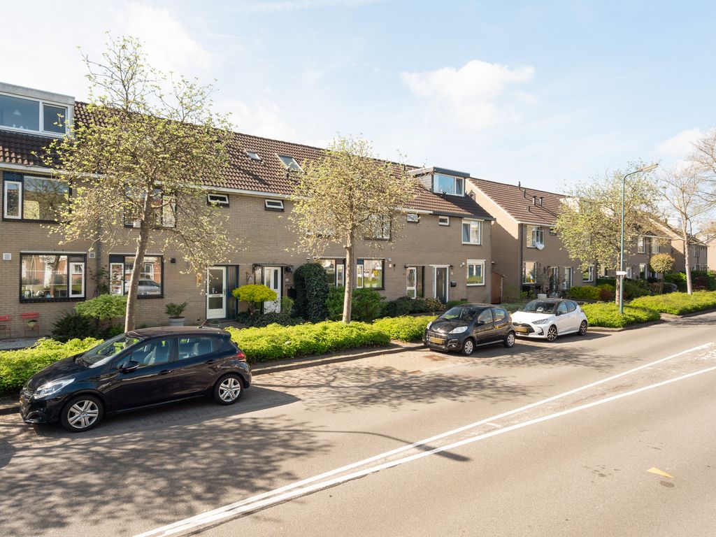 Weidebloemenlaan 113, WOERDEN