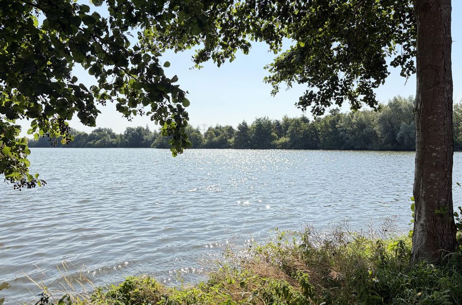 Veluwemeer 226