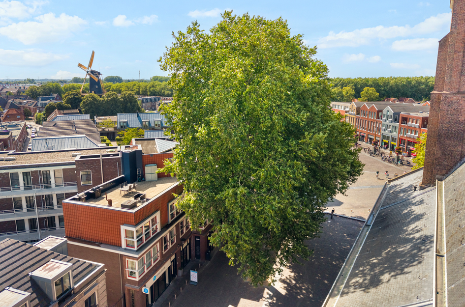 Hogewoerd 1H