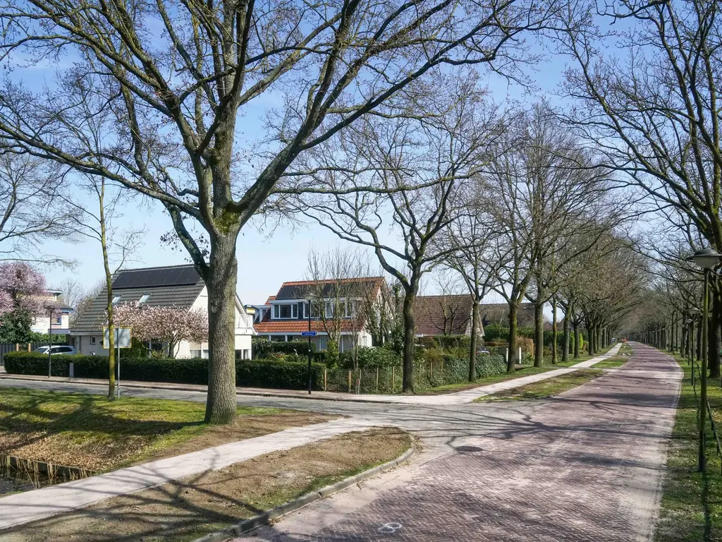 Guddepad 3, HOOGLAND