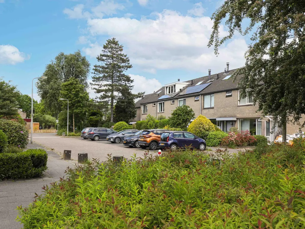 Breeland 61, HOOGLAND