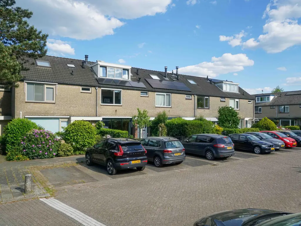 Breeland 61, HOOGLAND