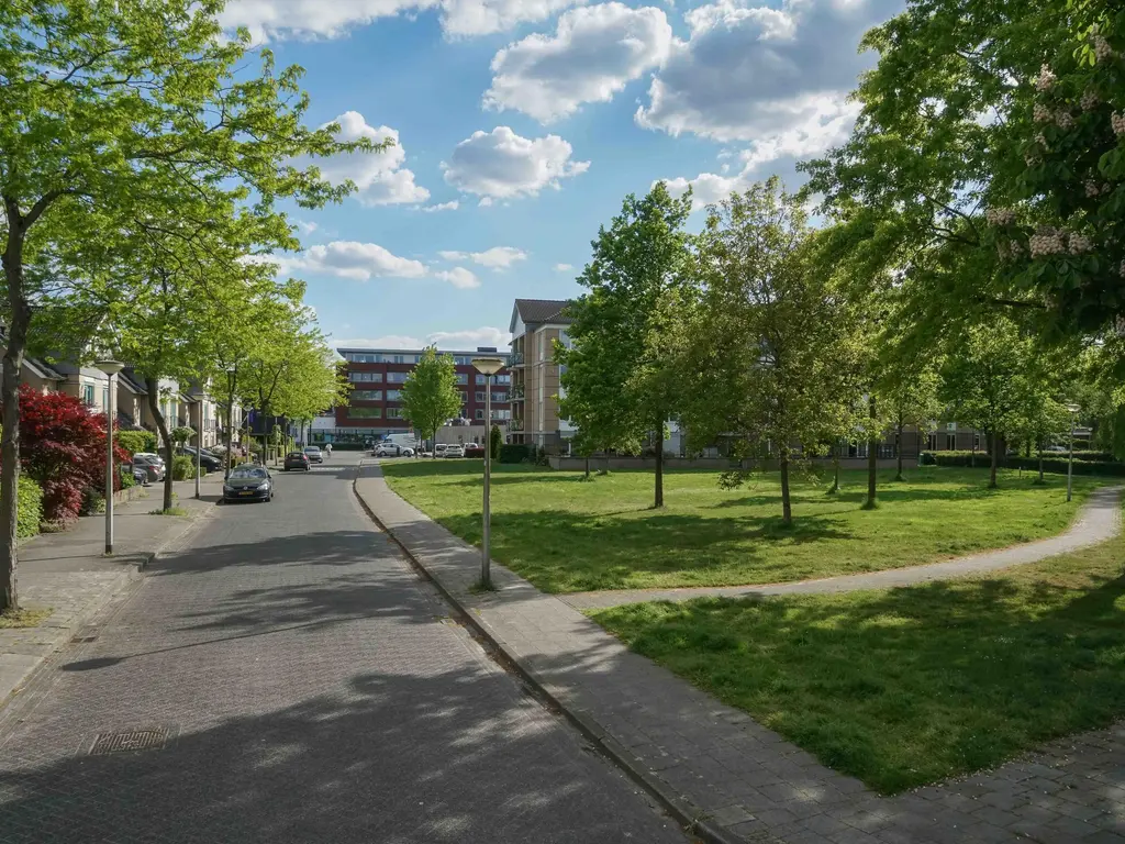 Breeland 61, HOOGLAND