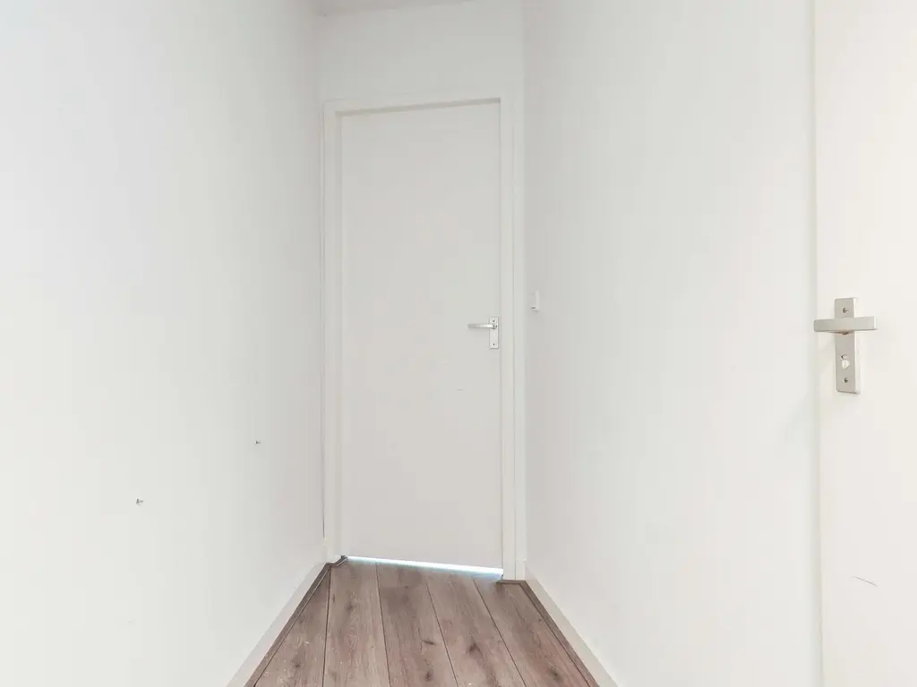 Atlasvlinder 2, AMERSFOORT