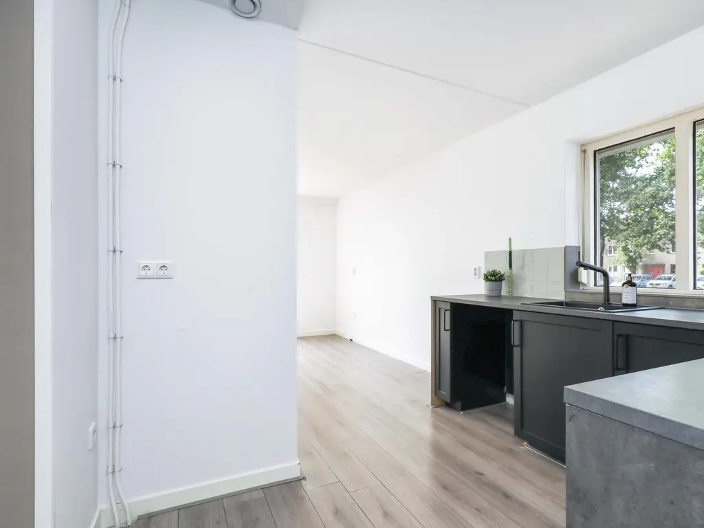 Atlasvlinder 2, AMERSFOORT