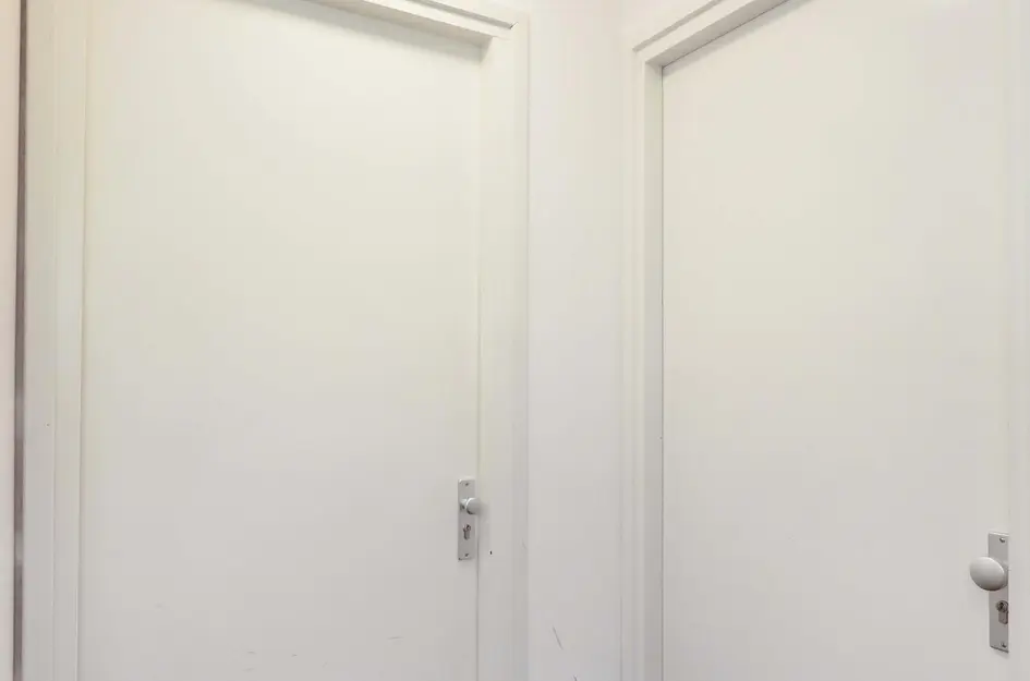Atlasvlinder 2