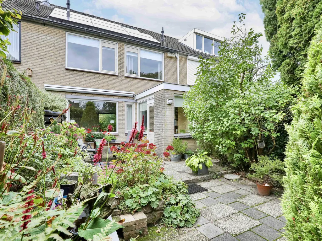 Breeland 65, HOOGLAND