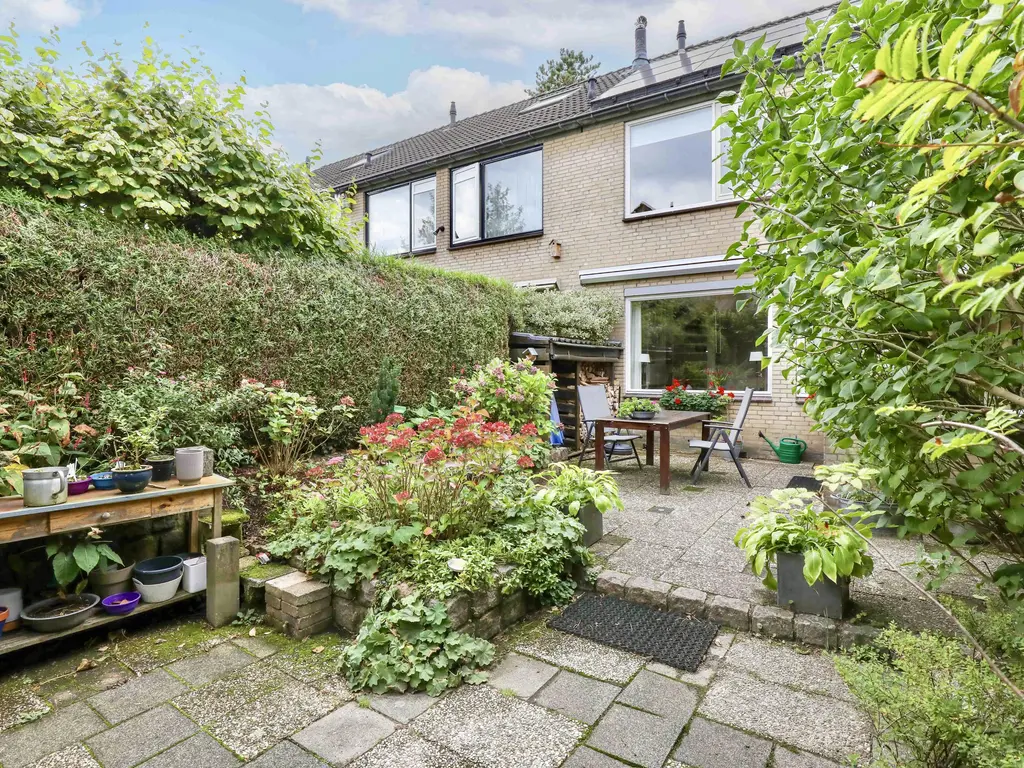 Breeland 65, HOOGLAND