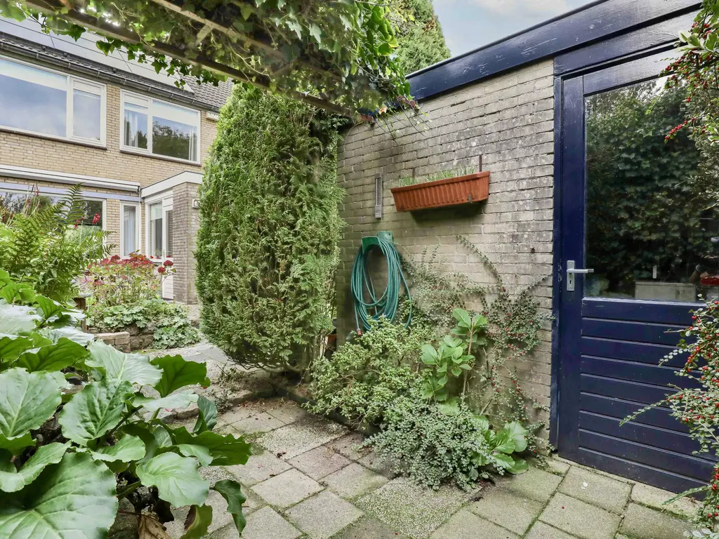 Breeland 65, HOOGLAND