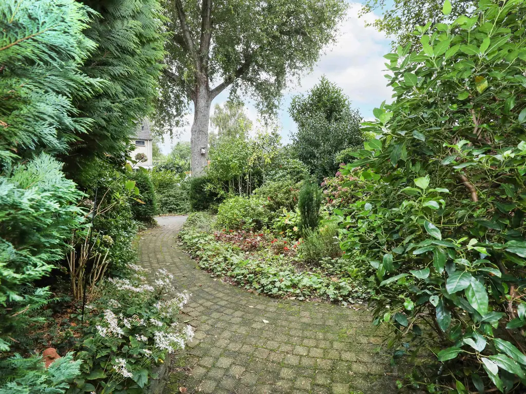 Breeland 65, HOOGLAND