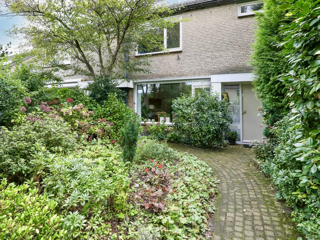 Breeland 65, HOOGLAND