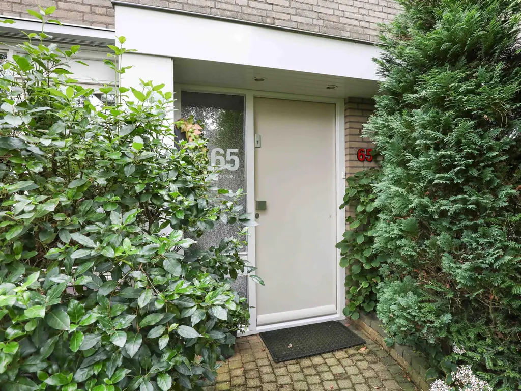 Breeland 65, HOOGLAND