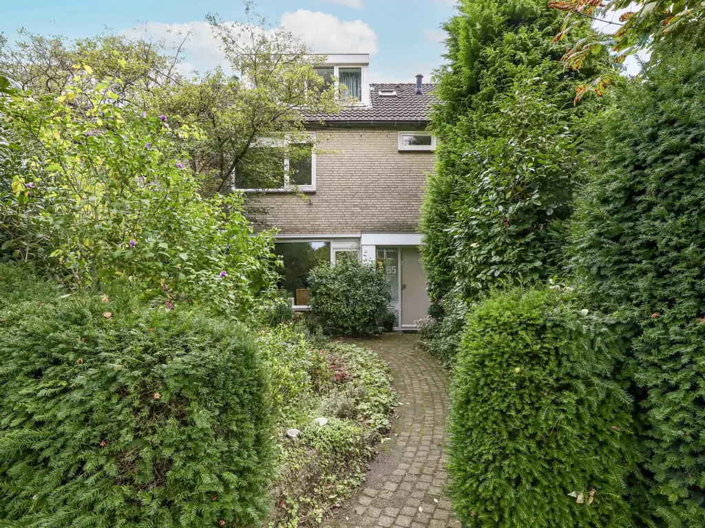 Breeland 65, HOOGLAND