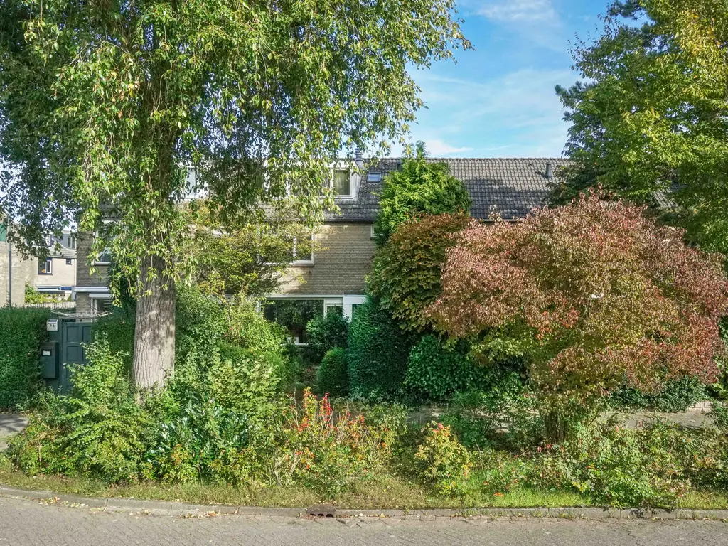Breeland 65, HOOGLAND