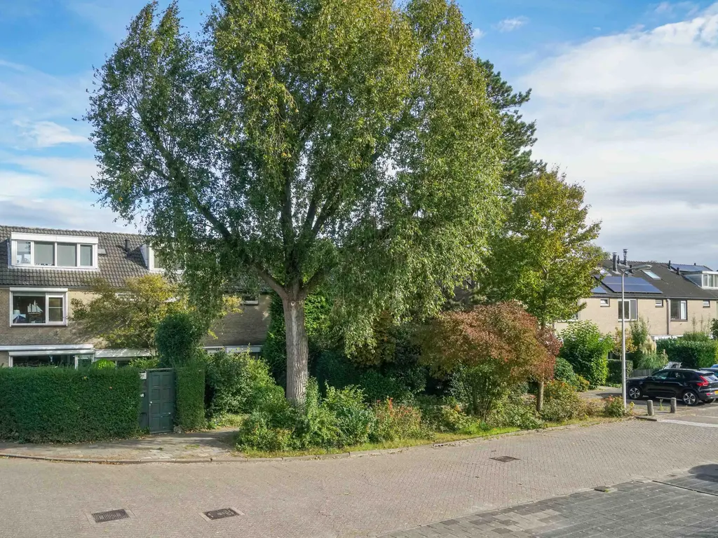 Breeland 65, HOOGLAND