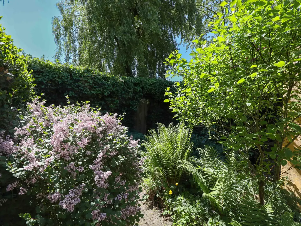 Kruiskruidlaan 58, BAARN