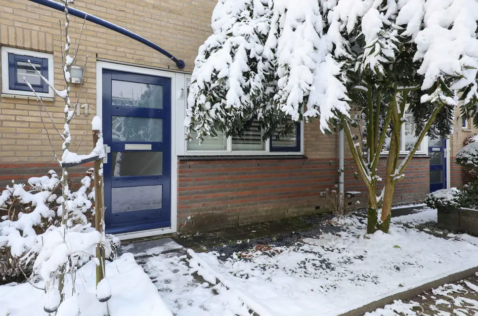 Brabantse Bellefleur 11