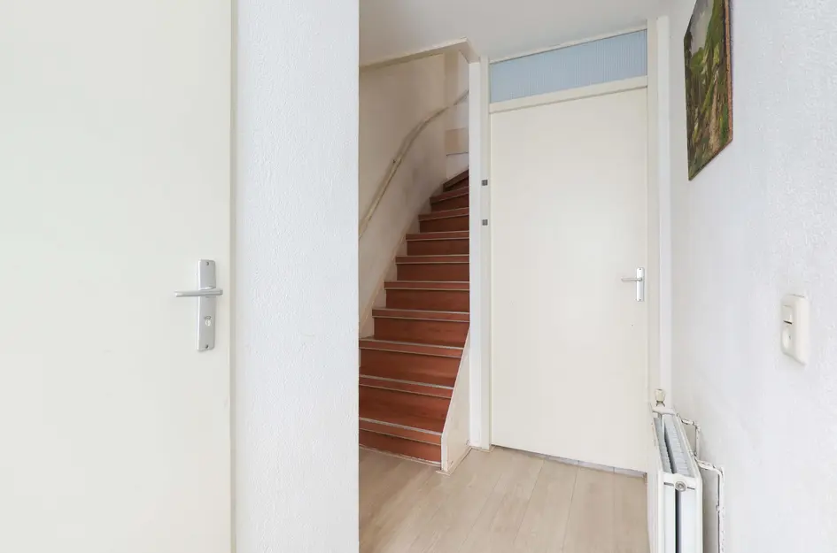 Brabantse Bellefleur 11